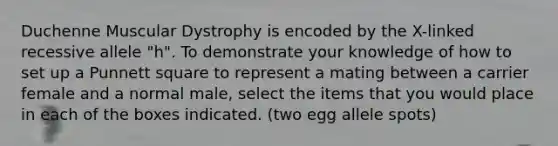 Duchenne Muscular Dystrophy is encoded by the X-linked recessive allele "h". To demonstrate your knowledge of how to set up a Punnett square to represent a mating between a carrier female and a normal male, select the items that you would place in each of the boxes indicated. (two egg allele spots)