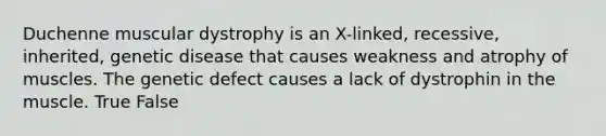 Duchenne muscular dystrophy is an X-linked, recessive, inherited, genetic disease that causes weakness and atrophy of muscles. The genetic defect causes a lack of dystrophin in the muscle. True False