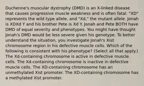 Duchenne's muscular dystrophy (DMD) is an X-linked disease that causes progressive muscle weakness and is often fatal. "XD" represents the wild type allele, and "Xd," the mutant allele. Jonah is XDXd Y and his brother Pete is Xd Y. Jonah and Pete BOTH have DMD of equal severity and phenotypes. You might have thought Jonah's DMD would be less severe given his genotype. To better understand the situation, you investigate Jonah's Xist chromosome region in his defective muscle cells. Which of the following is consistent with his phenotype? (Select all that apply.) The Xd-containing chromosome is active in defective muscle cells. The Xd-containing chromosome is inactive in defective muscle cells. The XD-containing chromosome has an unmethylated Xist promoter. The XD-containing chromosome has a methylated Xist promoter.