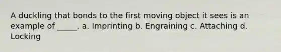 A duckling that bonds to the first moving object it sees is an example of _____. a. Imprinting b. Engraining c. Attaching d. Locking