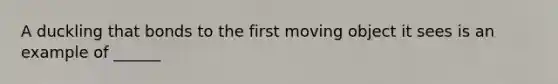 A duckling that bonds to the first moving object it sees is an example of ______