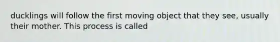 ducklings will follow the first moving object that they see, usually their mother. This process is called