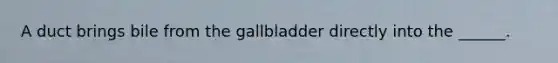 A duct brings bile from the gallbladder directly into the ______.