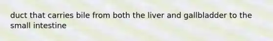 duct that carries bile from both <a href='https://www.questionai.com/knowledge/kR9aBthbil-the-liver-and-gallbladder' class='anchor-knowledge'>the liver and gallbladder</a> to <a href='https://www.questionai.com/knowledge/kt623fh5xn-the-small-intestine' class='anchor-knowledge'>the small intestine</a>