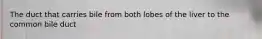 The duct that carries bile from both lobes of the liver to the common bile duct
