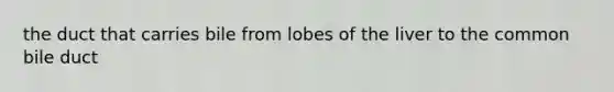 the duct that carries bile from lobes of the liver to the common bile duct