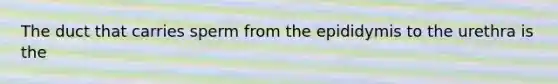 The duct that carries sperm from the epididymis to the urethra is the