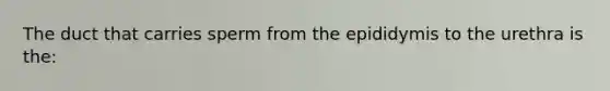 The duct that carries sperm from the epididymis to the urethra is the: