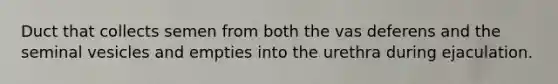 Duct that collects semen from both the vas deferens and the seminal vesicles and empties into the urethra during ejaculation.