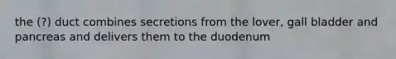 the (?) duct combines secretions from the lover, gall bladder and pancreas and delivers them to the duodenum