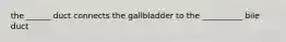 the ______ duct connects the gallbladder to the __________ bile duct