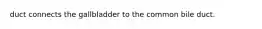 duct connects the gallbladder to the common bile duct.