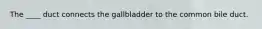 The ____ duct connects the gallbladder to the common bile duct.