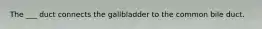 The ___ duct connects the gallbladder to the common bile duct.