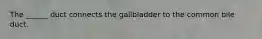 The ______ duct connects the gallbladder to the common bile duct.