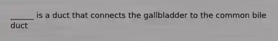 ______ is a duct that connects the gallbladder to the common bile duct