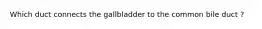 Which duct connects the gallbladder to the common bile duct ?