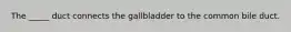 The _____ duct connects the gallbladder to the common bile duct.