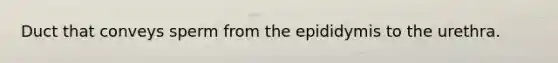 Duct that conveys sperm from the epididymis to the urethra.