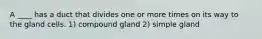 A ____ has a duct that divides one or more times on its way to the gland cells. 1) compound gland 2) simple gland