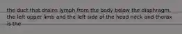 the duct that drains lymph from the body below the diaphragm, the left upper limb and the left side of the head neck and thorax is the