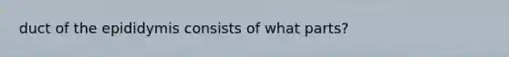 duct of the epididymis consists of what parts?