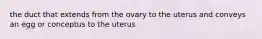 the duct that extends from the ovary to the uterus and conveys an egg or conceptus to the uterus