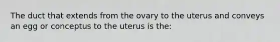 The duct that extends from the ovary to the uterus and conveys an egg or conceptus to the uterus is the: