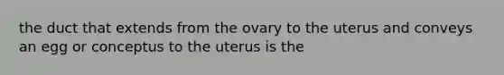 the duct that extends from the ovary to the uterus and conveys an egg or conceptus to the uterus is the