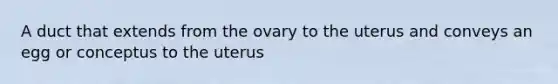 A duct that extends from the ovary to the uterus and conveys an egg or conceptus to the uterus