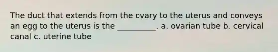 The duct that extends from the ovary to the uterus and conveys an egg to the uterus is the __________. a. ovarian tube b. cervical canal c. uterine tube