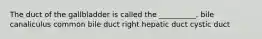 The duct of the gallbladder is called the __________. bile canaliculus common bile duct right hepatic duct cystic duct