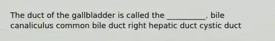 The duct of the gallbladder is called the __________. bile canaliculus common bile duct right hepatic duct cystic duct