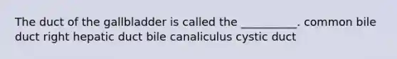 The duct of the gallbladder is called the __________. common bile duct right hepatic duct bile canaliculus cystic duct