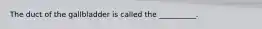 The duct of the gallbladder is called the __________.