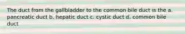 The duct from the gallbladder to the common bile duct is the a. pancreatic duct b. hepatic duct c. cystic duct d. common bile duct