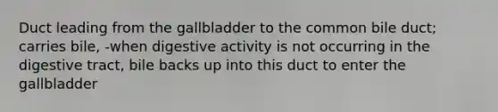 Duct leading from the gallbladder to the common bile duct; carries bile, -when digestive activity is not occurring in the digestive tract, bile backs up into this duct to enter the gallbladder