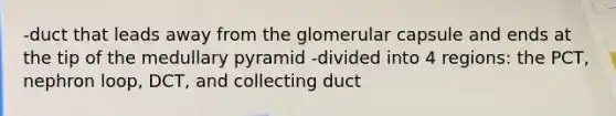 -duct that leads away from the glomerular capsule and ends at the tip of the medullary pyramid -divided into 4 regions: the PCT, nephron loop, DCT, and collecting duct