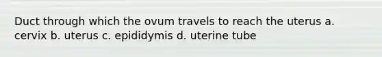 Duct through which the ovum travels to reach the uterus a. cervix b. uterus c. epididymis d. uterine tube