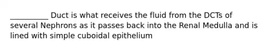 __________ Duct is what receives the fluid from the DCTs of several Nephrons as it passes back into the Renal Medulla and is lined with simple cuboidal epithelium