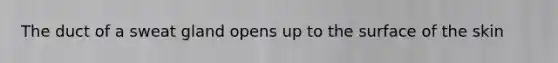 The duct of a sweat gland opens up to the surface of the skin