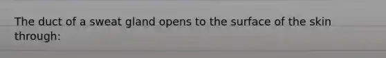 The duct of a sweat gland opens to the surface of the skin through: