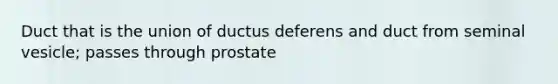 Duct that is the union of ductus deferens and duct from seminal vesicle; passes through prostate