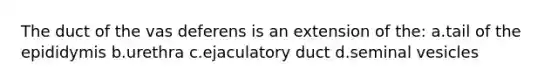 The duct of the vas deferens is an extension of the: a.tail of the epididymis b.urethra c.ejaculatory duct d.seminal vesicles