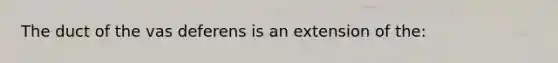 The duct of the vas deferens is an extension of the: