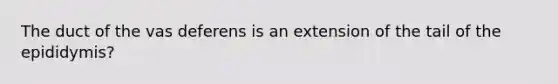 The duct of the vas deferens is an extension of the tail of the epididymis?