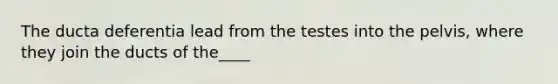 The ducta deferentia lead from the testes into the pelvis, where they join the ducts of the____