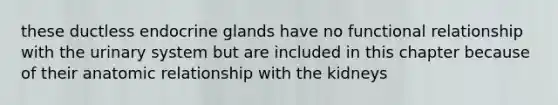 these ductless endocrine glands have no functional relationship with the urinary system but are included in this chapter because of their anatomic relationship with the kidneys