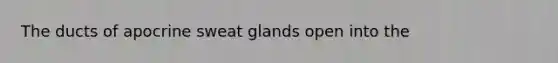 The ducts of apocrine sweat glands open into the