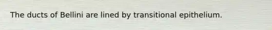 The ducts of Bellini are lined by transitional epithelium.